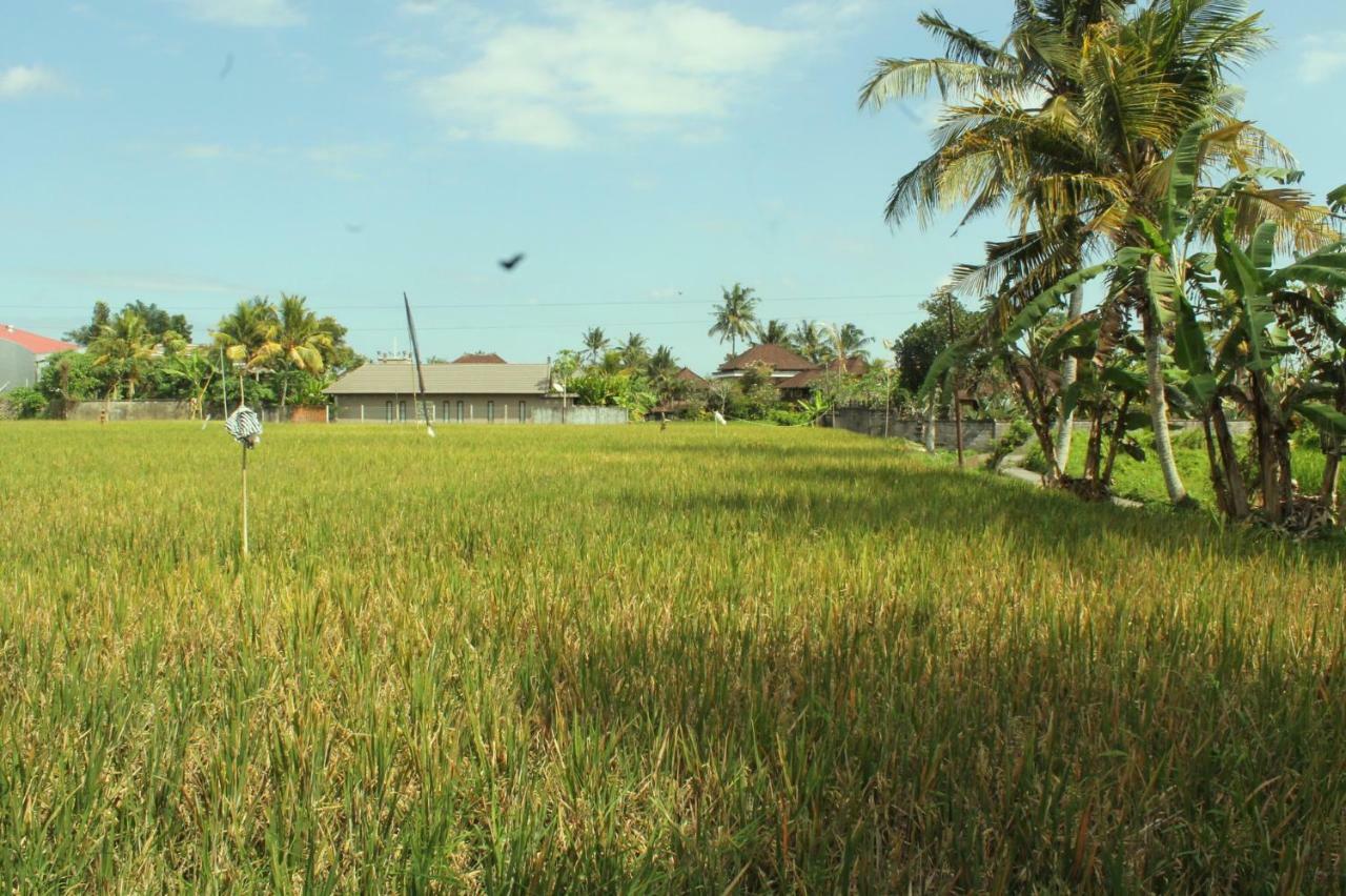 Ubud River Campuhan Villa エクステリア 写真