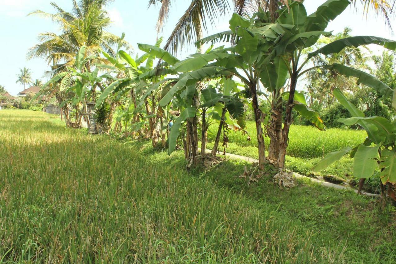 Ubud River Campuhan Villa エクステリア 写真